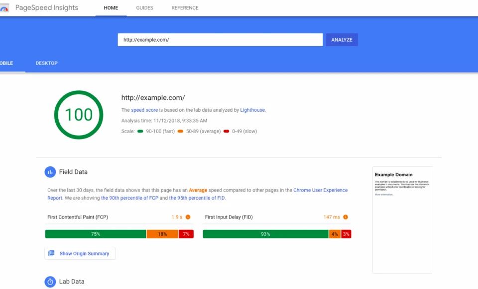 screenshot of a perfect 100 score on google pagespeed insights for example.com, demonstrating high web performance metrics — essential for enhancing user experience and boosting visibility in voice search local seo.