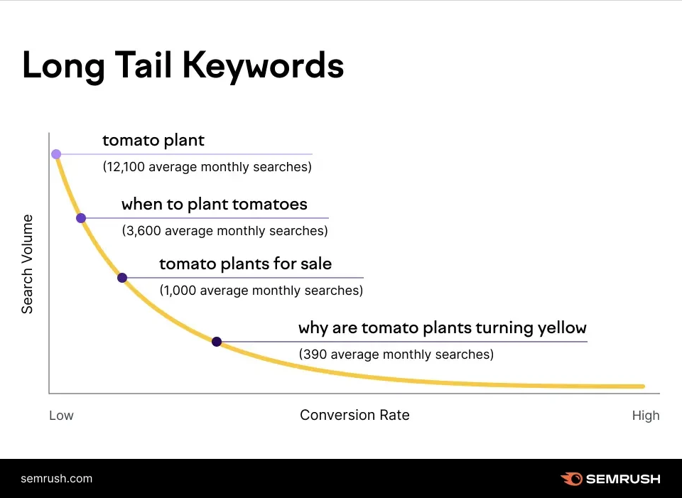 Graph showing how long tail keywords like 'why are tomato plants turning yellow' have lower search volume but higher conversion rates than broad terms like 'tomato plant'.