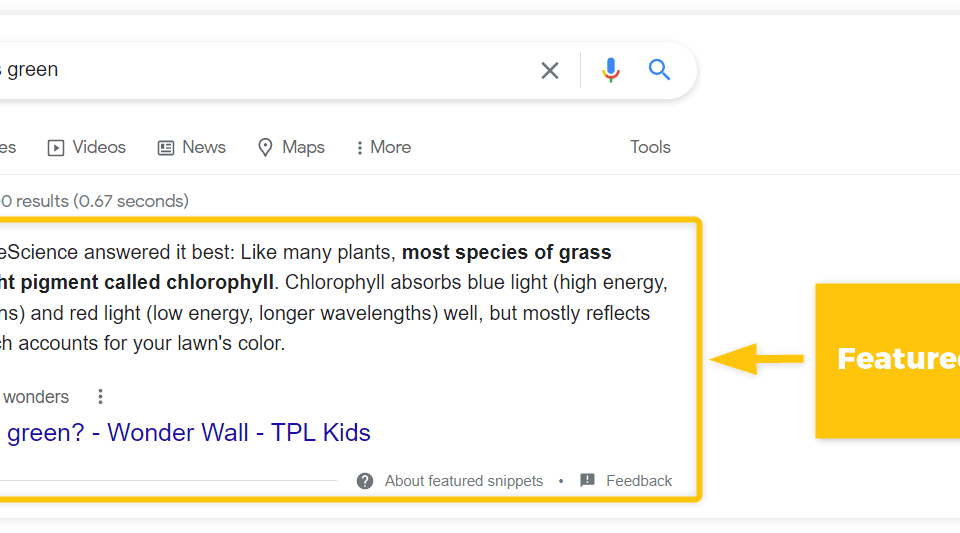 Google search results page showing a featured snippet answering 'why is the grass green', a good way to drive organic traffic.