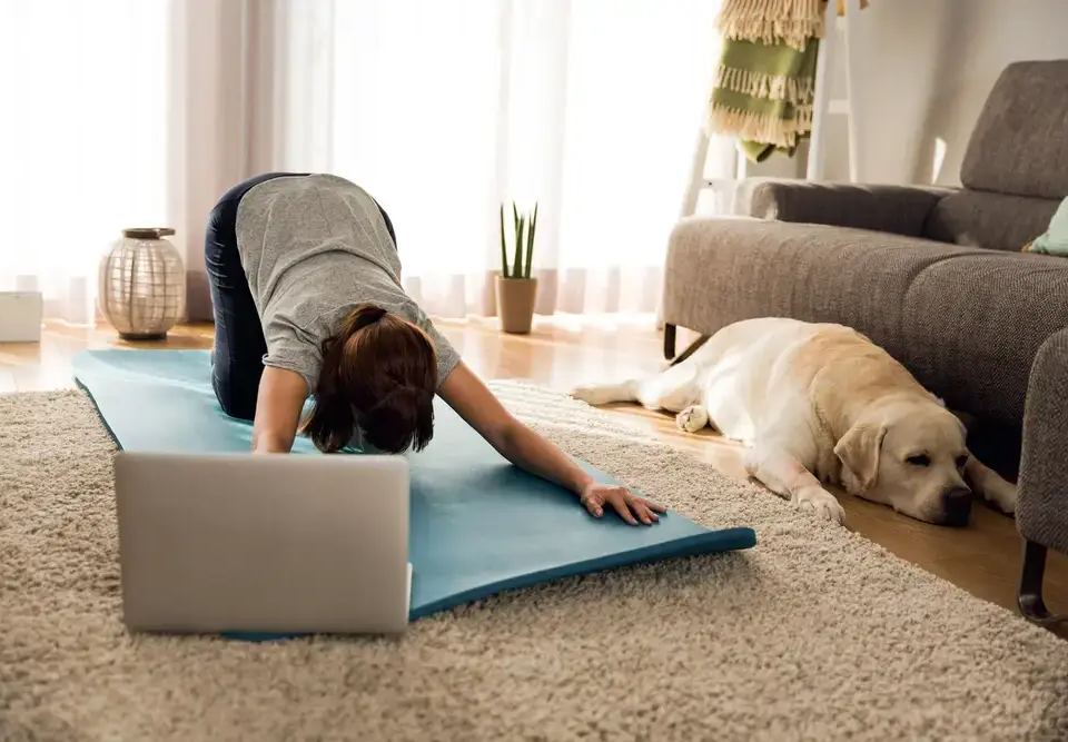 Woman practicing yoga with a laptop in a living room, a golden labrador dog resting nearby. Illustrates how to increase customer lifetime value.