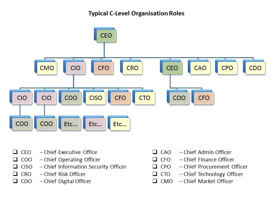 Organizational chart showing typical C-level roles and their hierarchy for fractional leadership structures.