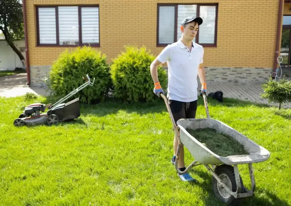 Young man in a cap and gloves pushes a wheelbarrow full of grass clippings across a green lawn, demonstrating weather based marketing for lawn care.